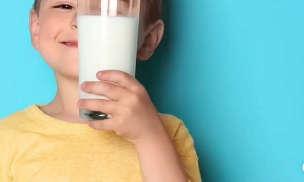 Bebidas lácteas: una económica y nutritiva opción alimenticia