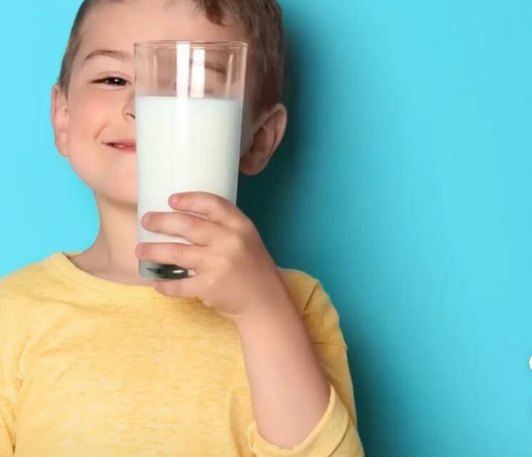 Bebidas lácteas: una económica y nutritiva opción alimenticia