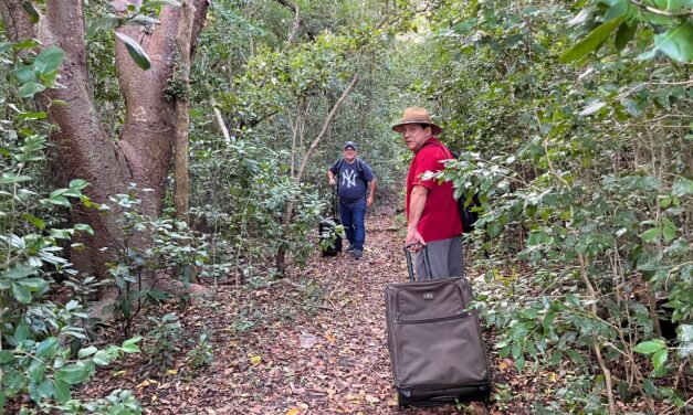 Emilio Lovera y Amílcar Rivero llegan a Venezuela en noviembre con su show internacional “Por los caminos verdes”