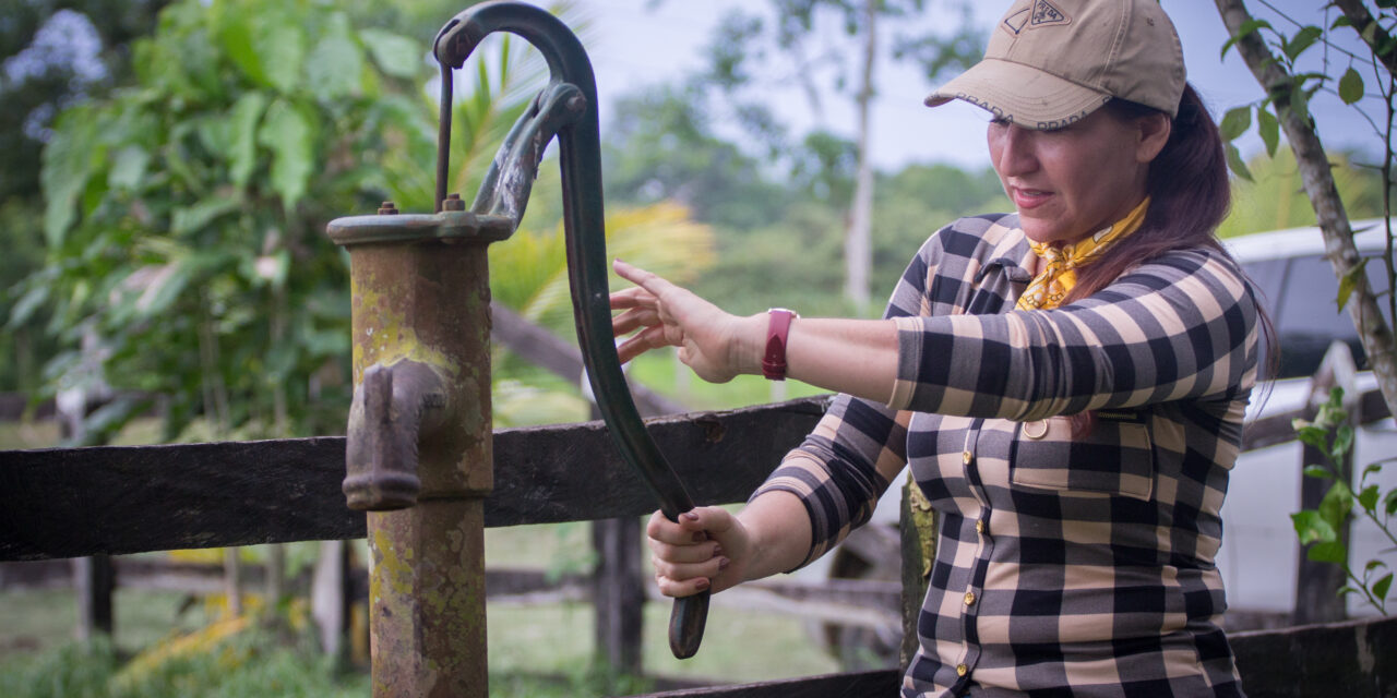 Mujeres del Alto Apure: Un homenaje al esfuerzo femenino a través del cacao