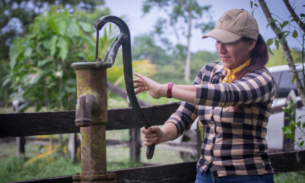 Mujeres del Alto Apure: Un homenaje al esfuerzo femenino a través del cacao