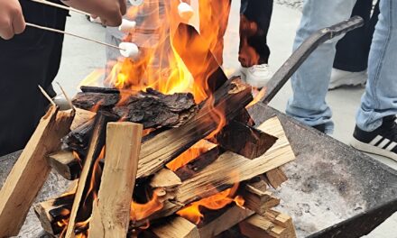 Escápate a la Colonia Tovar: es un destino entre neblina y gastronomía