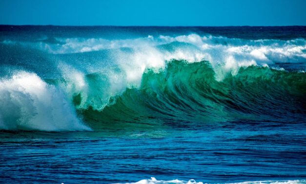 Día Mundial de los Océanos, una fecha dedicada a reconocer la mayor maravilla de la naturaleza