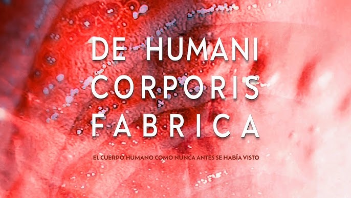 La película francesa «De Humani Corporis Fabrica» se presentará en el Trasnocho Cultural el 26 de julio