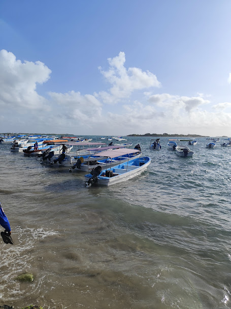 Morrocoy: playas cristalinas y naturaleza protegida en el corazón del Caribe venezolano
