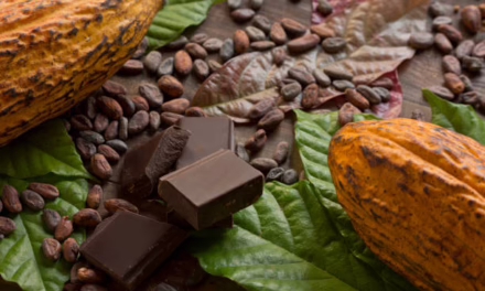 Hoy 13 de septiembre, en el día Mundial del Chocolate valoramos el legado del cacao venezolano