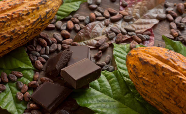 Hoy 13 de septiembre, en el día Mundial del Chocolate valoramos el legado del cacao venezolano