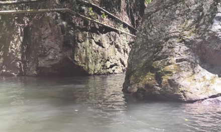 Río Guayabal: naturaleza viva entre las montañas de Miranda