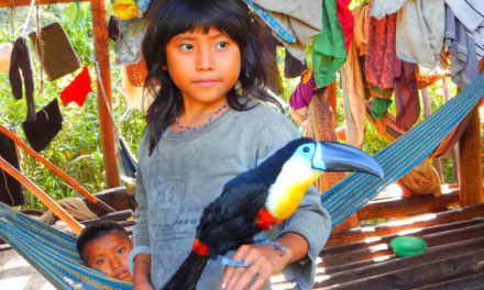 Destinos: conoce al mundo mágico de los Waraos