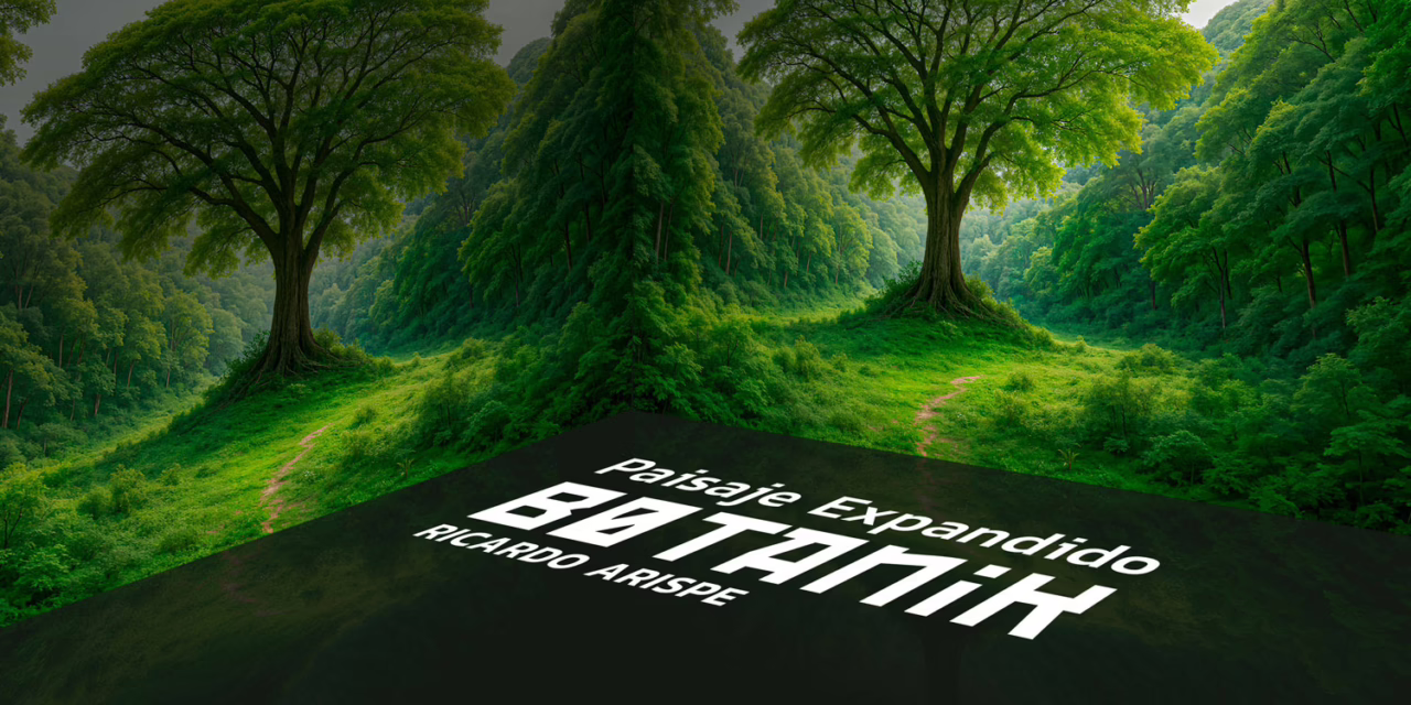 Paisaje Expandido [Botanik]:el arte como organismo vivo en el CCAM