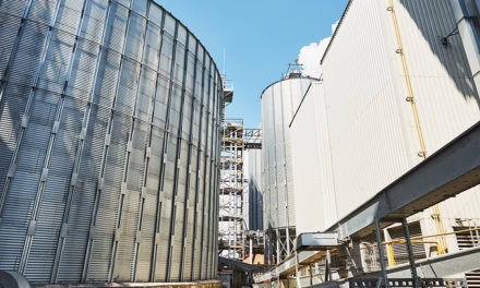 Seguros Patrimoniales: la clave para la continuidad y fortalecimiento empresarial