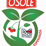 Siembra Esperanza, ISOLA FOODS, OSOLE y El DVC certificarán agricultores de tomate en Anzoátegui