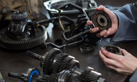 Canidra ofrece a sus afiliados data que les permite tomar las mejores decisiones