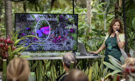 Sprickle Green consolida su oferta educativa con talleres especializados para entusiastas del paisajismo y la jardinería