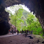 Ambientalistas aseguran que la Cueva del Guácharo es un laboratorio natural