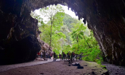 Ambientalistas aseguran que la Cueva del Guácharo es un laboratorio natural
