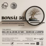 BONSÁI 50: Arte ancestral y de vanguardia tecnológica se conjugan en el CCAM