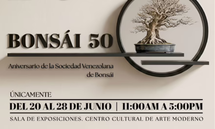 BONSÁI 50: Arte ancestral y de vanguardia tecnológica se conjugan en el CCAM
