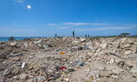 Arrojar escombros al mar no es una solución: Expertos recomiendan una gestión responsable tras el terremoto