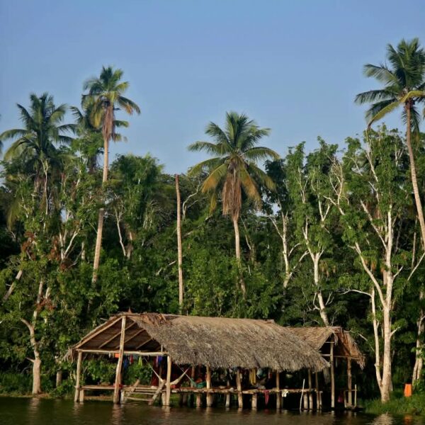 Conoce a Monagas, la tierra de los waraos