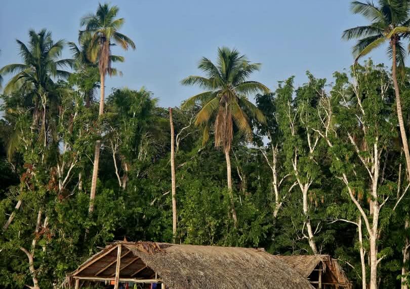 Conoce a Monagas, la tierra de los waraos